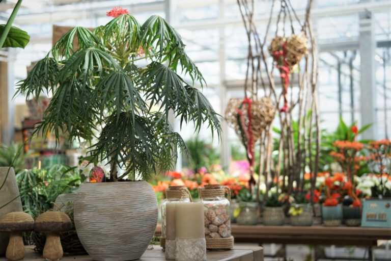 GaertnereiMueller (11)