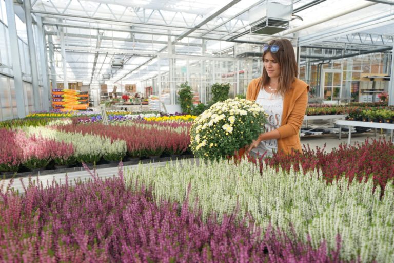 GaertnereiMueller (16)