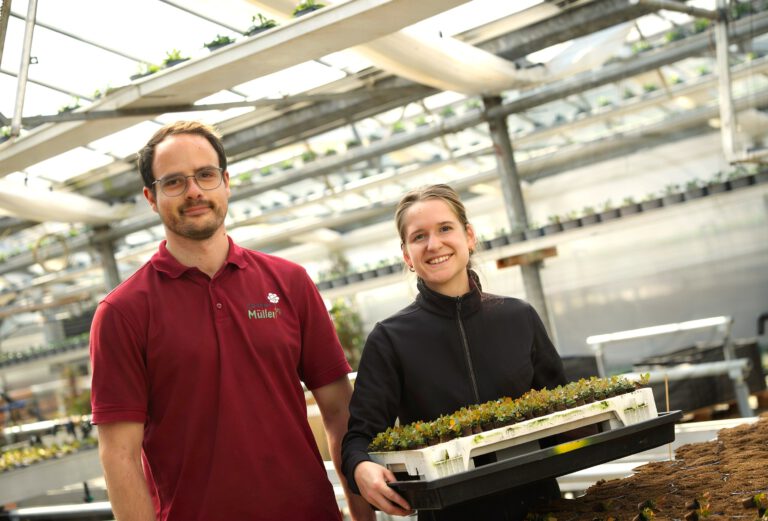 GaertnereiMuellerMitarbeiterTopfpflanzenproduktion