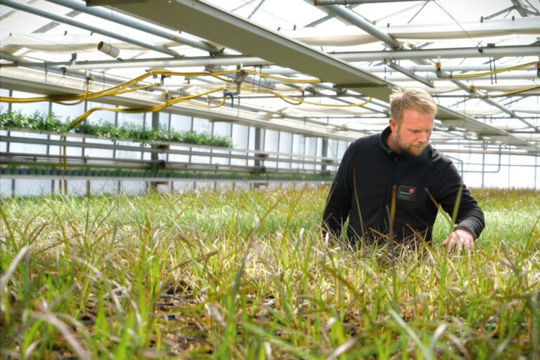 MagnusHerter_Eigenproduktion