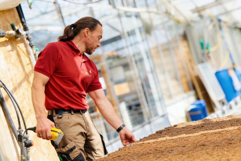 MitarbeiterTopfpflanzenproduktion